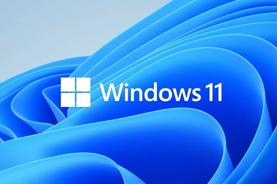 Windows 11 para INTEL & AMD sin usb y sin virus | Descarga e instalacion
